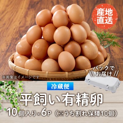 産直・平飼い有精卵 (計60個)