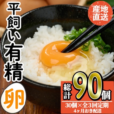 <定期便・全3回>産直・平飼い有精卵 (総計90個・30個×3回(4ヶ月おき発送)) 