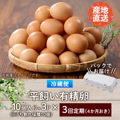 <定期便・全3回>産直・平飼い有精卵 (総計90個・30個×3回(4ヶ月おき発送)) 