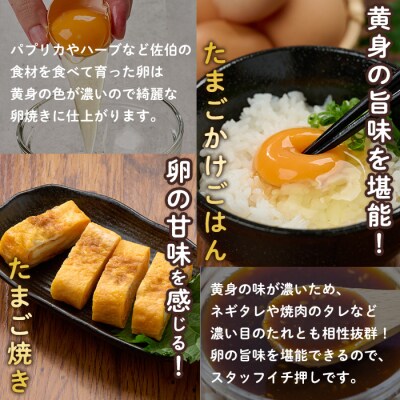 <定期便・全3回>産直・平飼い有精卵 (総計90個・30個×3回(4ヶ月おき発送)) 