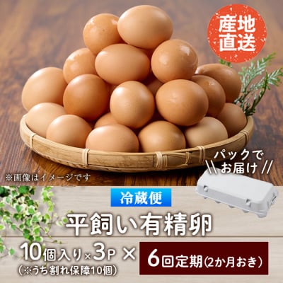 <定期便・全6回>産直・平飼い有精卵 (総計180個・30個×6回(2ヶ月おき発送)) 