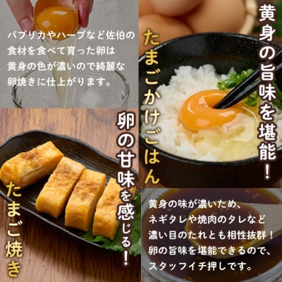 <定期便・全12回>産直・平飼い有精卵 (総計360個・30個×12回(毎月発送)) 