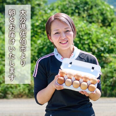 <定期便・全12回>産直・平飼い有精卵 (総計360個・30個×12回(毎月発送)) 