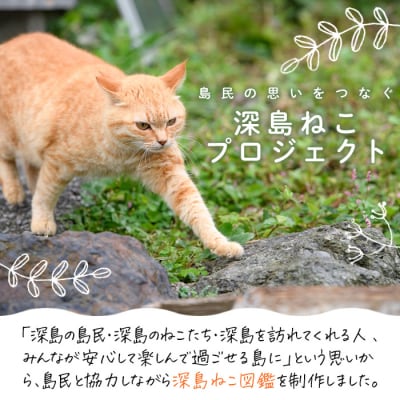 深島ねこ図鑑vol.3 (1冊)