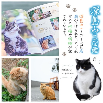 深島ねこ図鑑vol.3 (2冊)