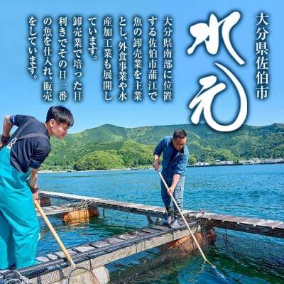 <訳あり>地魚海鮮漬け丼の素 (計8食)