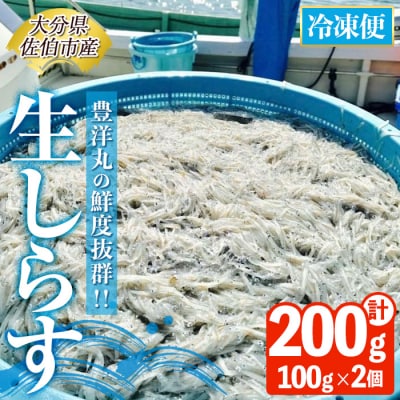 豊洋丸の鮮度抜群! 生しらすセット (計200g・100g×2個)