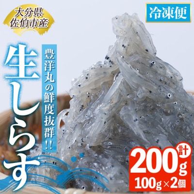 豊洋丸の鮮度抜群! 生しらすセット (計200g・100g×2個)