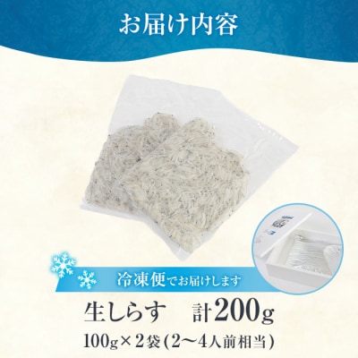 豊洋丸の鮮度抜群! 生しらすセット (計200g・100g×2個)