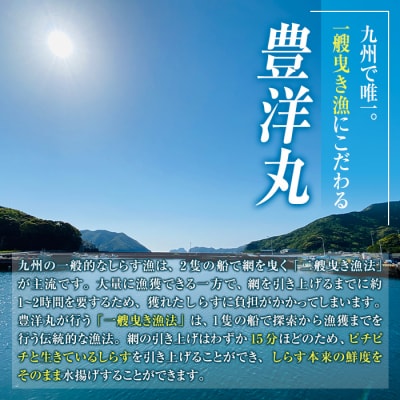 豊洋丸の鮮度抜群! 生しらすセット (計200g・100g×2個)