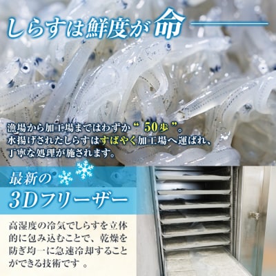 豊洋丸の鮮度抜群! 生しらすセット (計200g・100g×2個)
