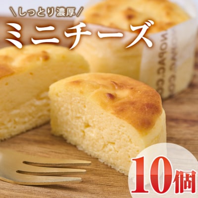 濃厚ミニチーズケーキ (計10個)