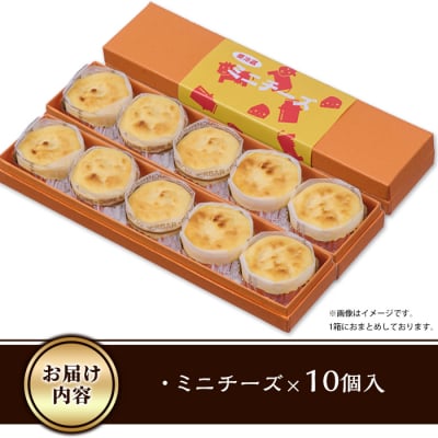 濃厚ミニチーズケーキ (計10個)