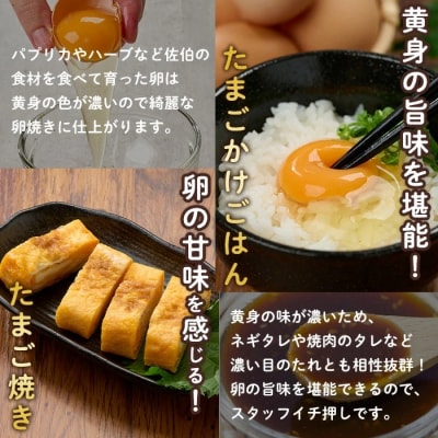 <定期便・全3回>産直・平飼い有精卵 (総計180個・60個×3回(4ヶ月おき発送))