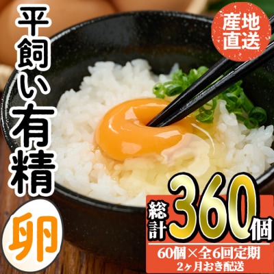<定期便・全6回>産直・平飼い有精卵 (総計360個・60個×6回(2ヶ月おき発送))