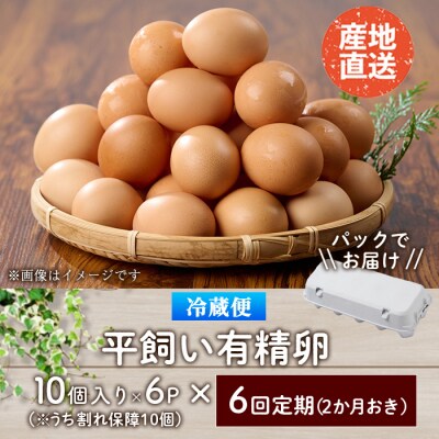 <定期便・全6回>産直・平飼い有精卵 (総計360個・60個×6回(2ヶ月おき発送))