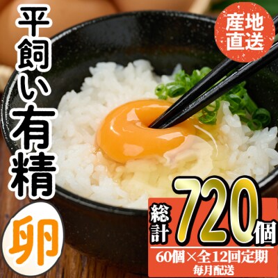 <定期便・全12回>産直・平飼い有精卵 (総計720個・60個×12回(毎月発送))