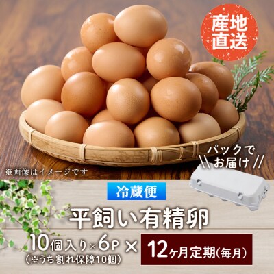 <定期便・全12回>産直・平飼い有精卵 (総計720個・60個×12回(毎月発送))