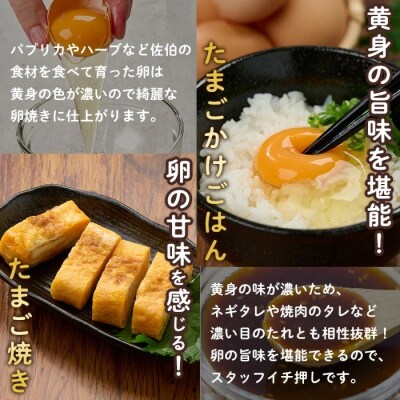 <定期便・全12回>産直・平飼い有精卵 (総計720個・60個×12回(毎月発送))