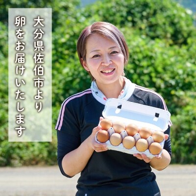 <定期便・全12回>産直・平飼い有精卵 (総計720個・60個×12回(毎月発送))