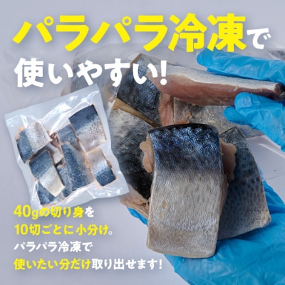 <定期便・全3回 (毎月)>訳あり・さば 切り身 (総計約3.6kg・40g前後×90切)