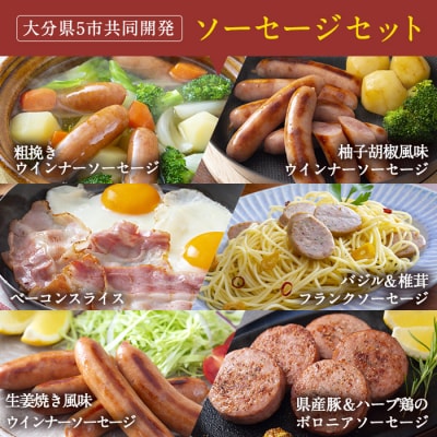 <定期便・全6回(連続)>おおいた味力ソーセージセット(総量6.84kg)