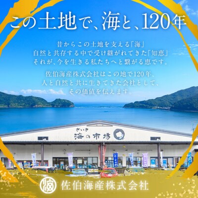 訳あり 辛子明太子 並切 バラコ 込み (300g)