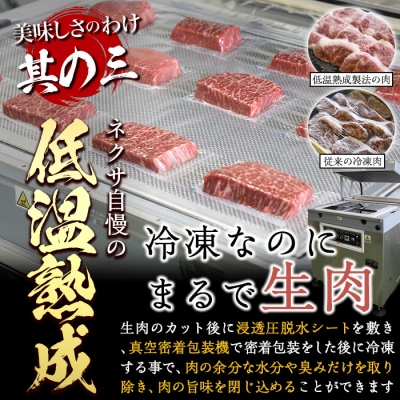 プライム牛 塩ハラミ(計200g) 