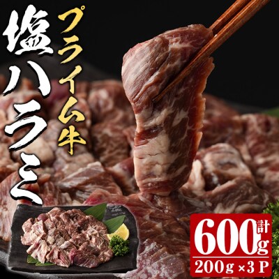 プライム牛 塩ハラミ(計600g)