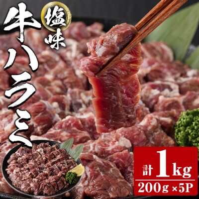 塩味 牛ハラミ (計1kg) 