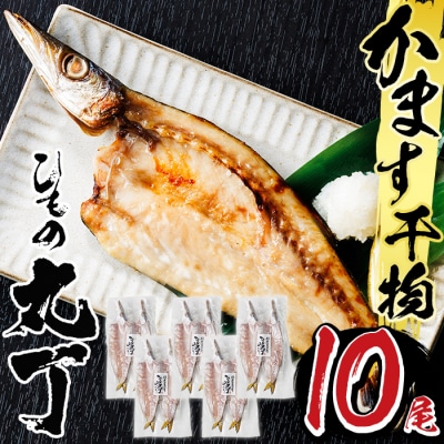 ギフト用品質!九州産ひものかます開き(10尾)