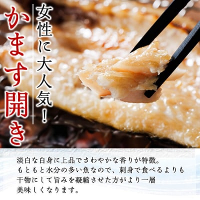 ギフト用品質!九州産ひものかます開き(10尾)