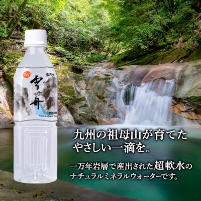 ナチュラル ミネラル ウォーター 雪舟 500ml (計24本)