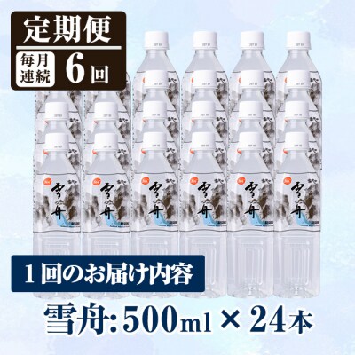 <定期便・全6回(毎月)>ナチュラルミネラルウォーター雪舟(総量144本・500ml×24本×6回)