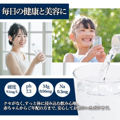 <定期便・全6回(毎月)>ナチュラルミネラルウォーター雪舟(総量144本・500ml×24本×6回)