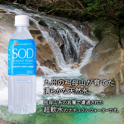 <定期便・全3回(毎月)>ナチュラル ウォーター SOD (総量72本・500ml×24本×3回)