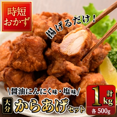 時短おかず 揚げるだけ 大分 からあげ 醤油にんにく味・塩からあげ セット (合計1kg・各500g