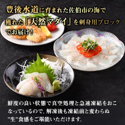 佐伯産 天然真鯛 刺身用ブロック (計500g)