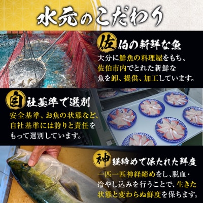 佐伯産 天然真鯛 刺身用ブロック (計500g)