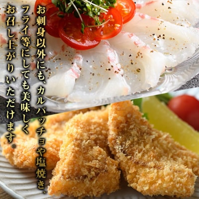 佐伯産 天然真鯛 刺身用ブロック (計1kg)