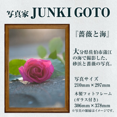 写真家 JUNKI GOTO 作品『薔薇と海』 写真(1枚・フォトフレーム付)