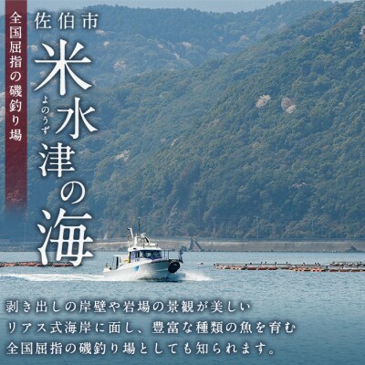 千代丸 磯釣り 送迎 チケット (1回分)