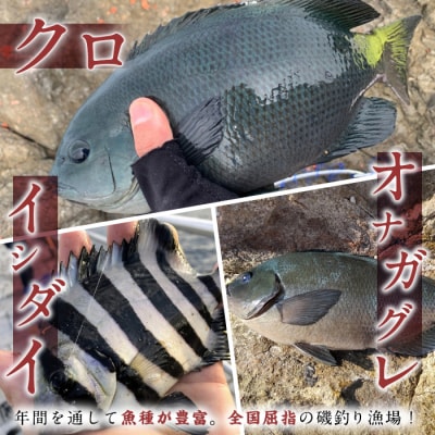 千代丸 磯釣り 送迎 チケット (1回分)