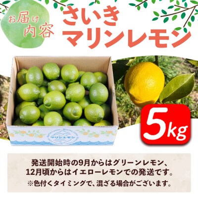さいき マリンレモン (計5kg) 柑橘 レモン 国産 れもん 檸檬 果物 くだもの 果実 フルーツ