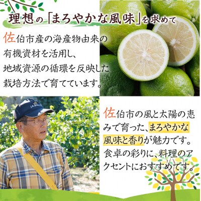 さいき マリンレモン (計5kg) 柑橘 レモン 国産 れもん 檸檬 果物 くだもの 果実 フルーツ