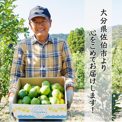 さいき マリンレモン (計5kg) 柑橘 レモン 国産 れもん 檸檬 果物 くだもの 果実 フルーツ