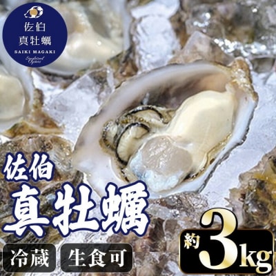 佐伯真牡蠣 鶴見産 (約3kg)
