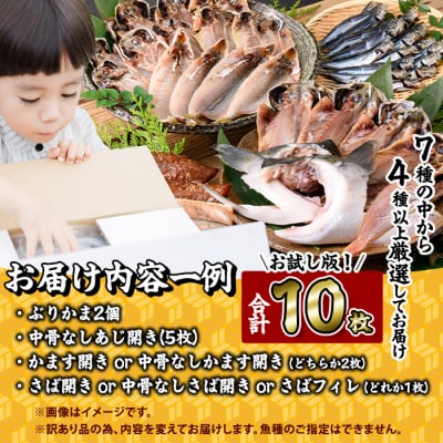<訳あり> 厳選 干物 お試し版 (総量10枚)