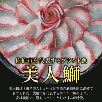 大分県産 美人鰤 フィレ (1枚・1.5kg以上)