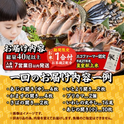 <訳あり> 数量限定・お米1合付き 干物大満足BOX (40尾以上・5-8種)  